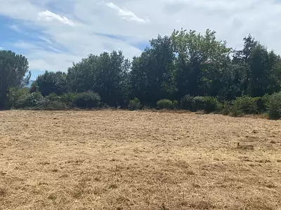 Terrain, 2 774 m²