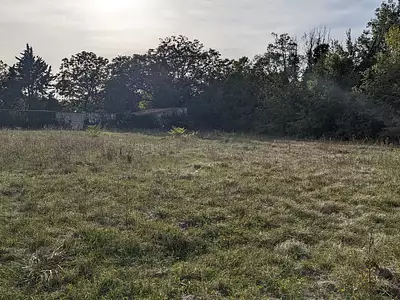 Terrain, 1 135 m²