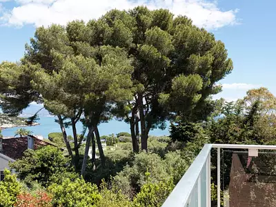 Maison, 245 m²