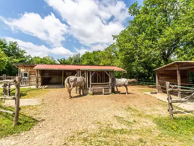 Maison, 156 m²