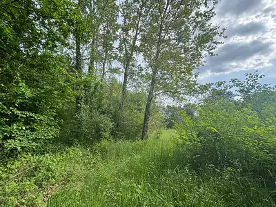 Terrain, 129 172 m²