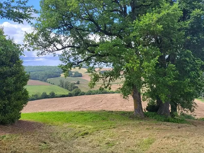 Terrain, 220 000 m²