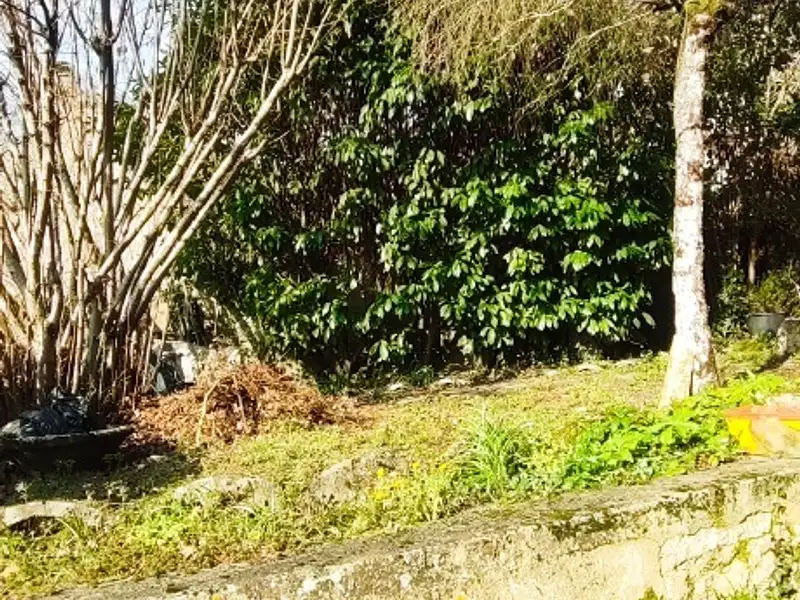 Maison, 90 m²