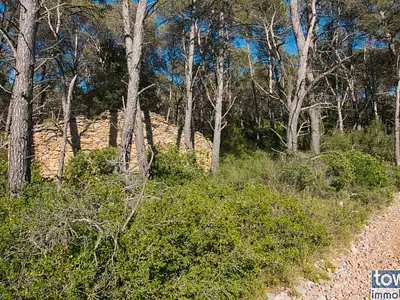 Terrain, 42 302 m²