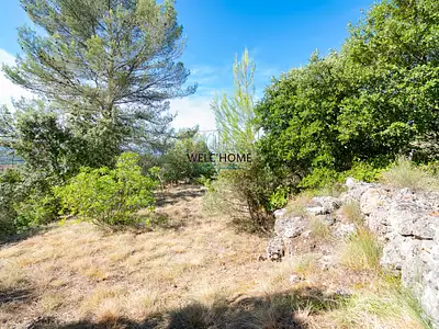 Terrain, 831 m²
