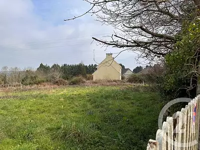 Terrain