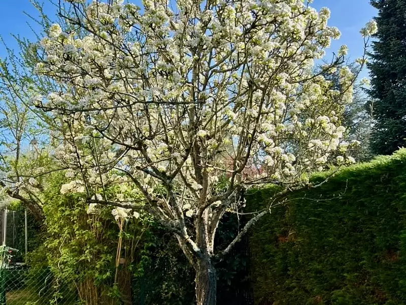 Maison, 168 m²