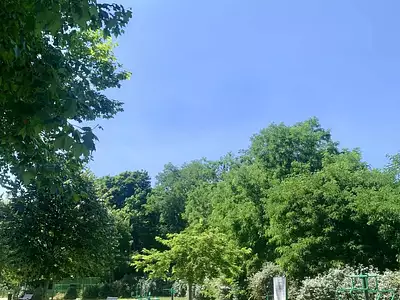 Appartement, 51 m²