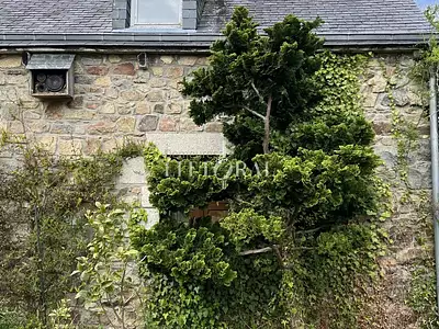 Maison, 280 m²
