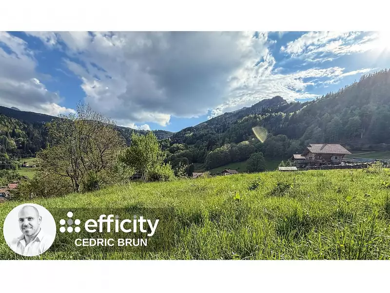 Terrain, 990 m²