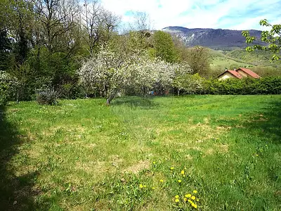 Terrain, 990 m²