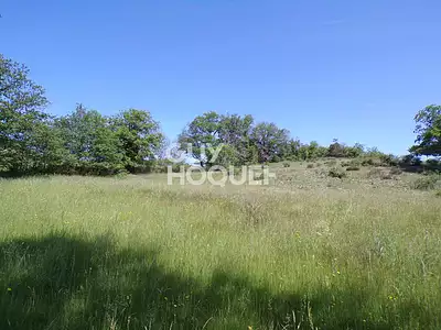 Terrain, 7 042 m²