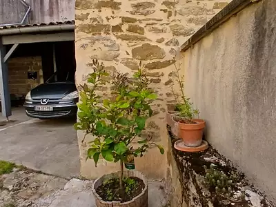 Maison, 172 m²