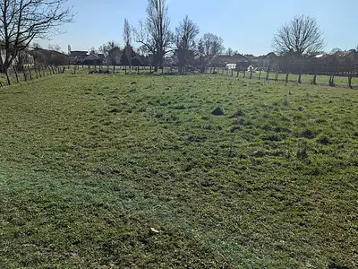 Terrain, 1 124 m²
