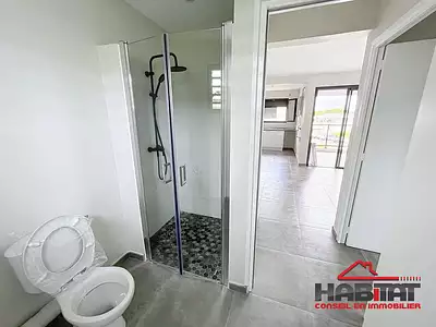 Appartement, 48,3 m²