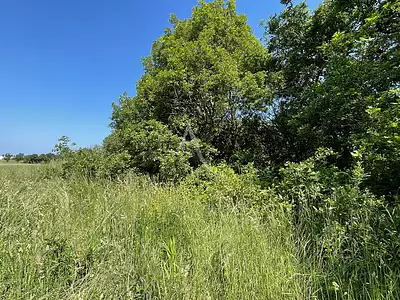 Terrain, 5 764 m²