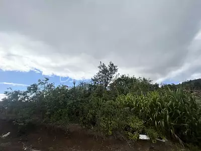 Terrain, 994 m²