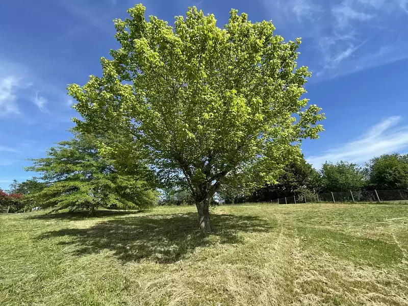 Maison, 88,51 m²