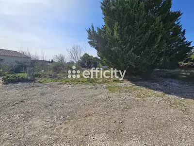 Terrain, 980 m²