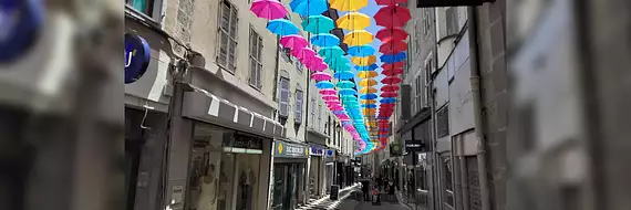 Suc Immobilier I Agence Moderne