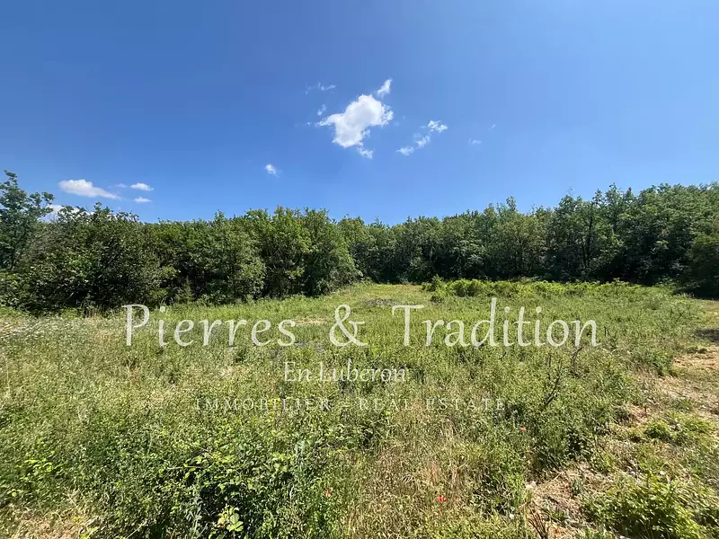 Terrain, 13 747 m²
