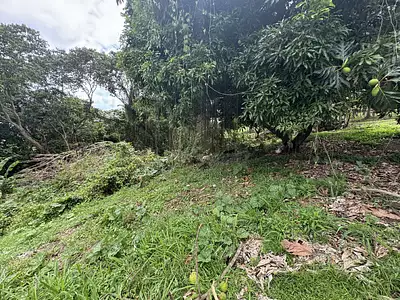 Terrain, 1 300 m²