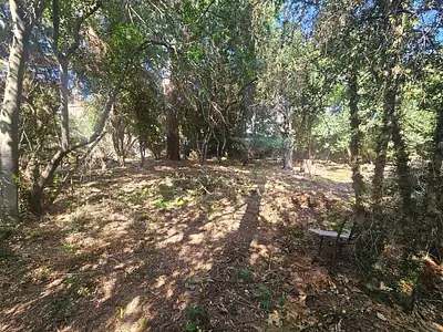 Terrain, 950 m²