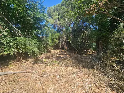 Terrain, 950 m²