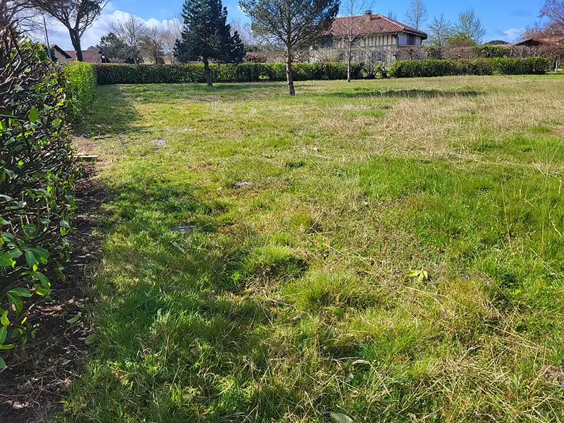 Terrain, 1 230 m²