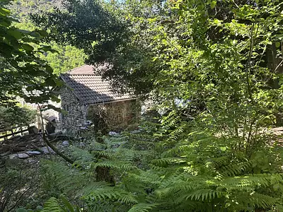 Maison, 138 m²
