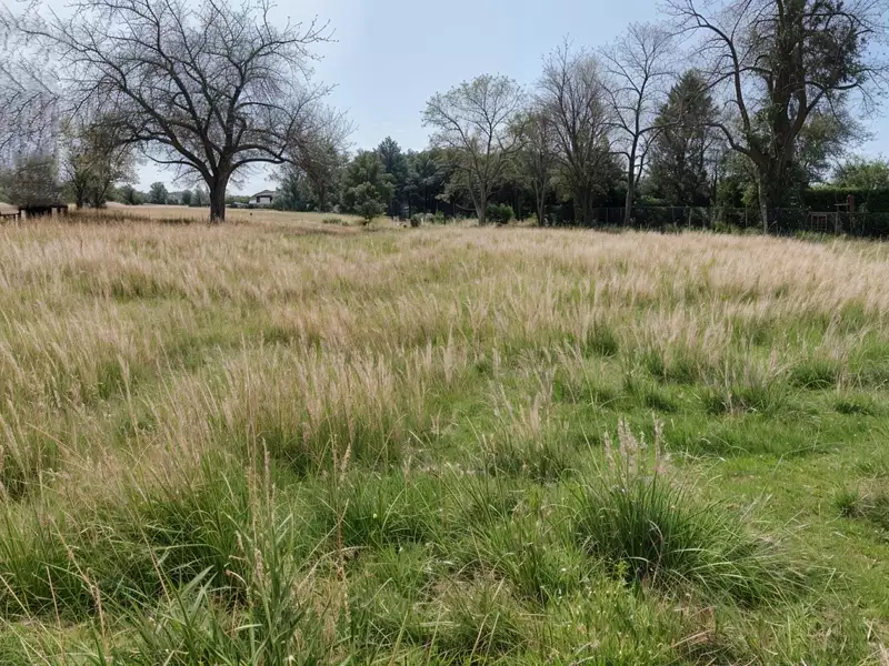 Terrain, 1 500 m²