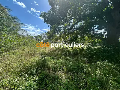 Terrain, 5 000 m²