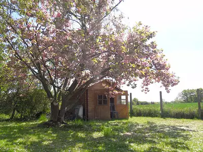 Maison, 115 m²