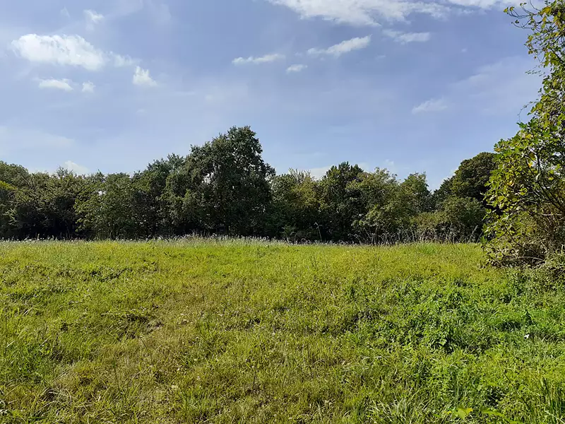 Terrain, 1 513 m²