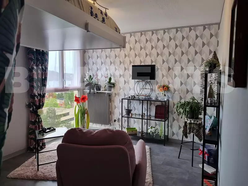 Appartement, 29,39 m²