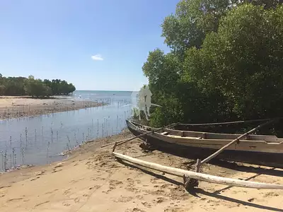 Terrain, 2 000 000 m²