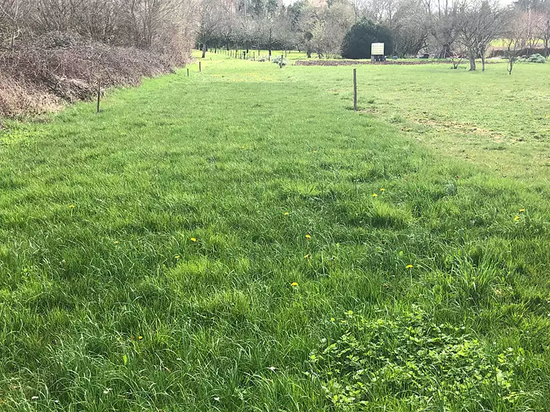 Terrain, 414 m²