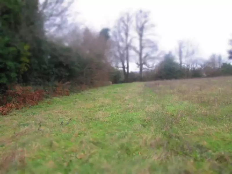 Terrain