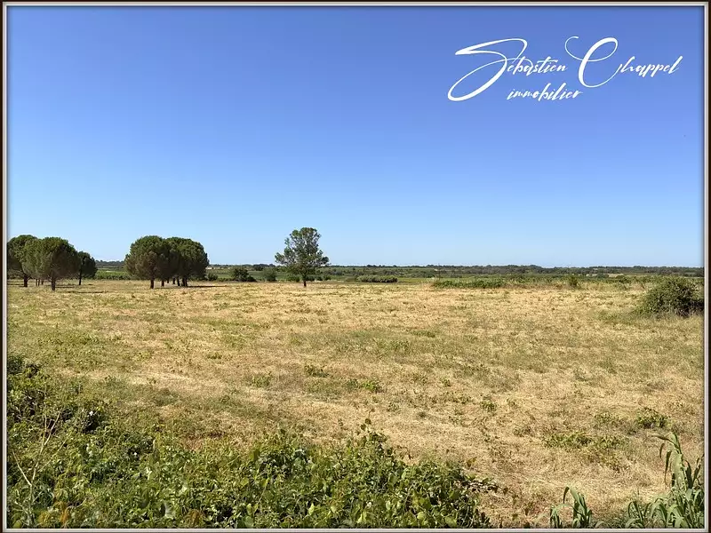 Terrain, 901 m²