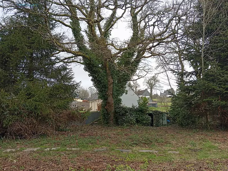 Terrain, 2 281 m²