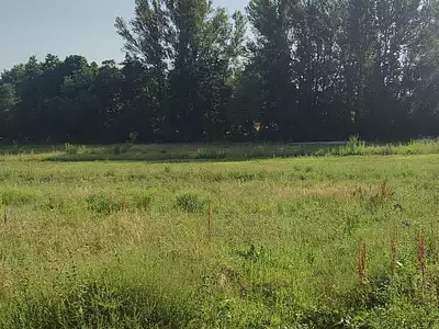 Terrain, 675 m²