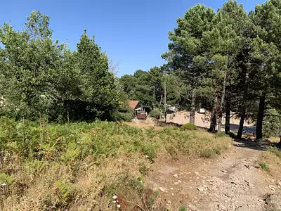 Terrain, 201 m²