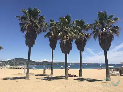 Appartement, 81,49 m²