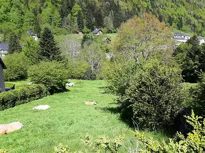 Terrain