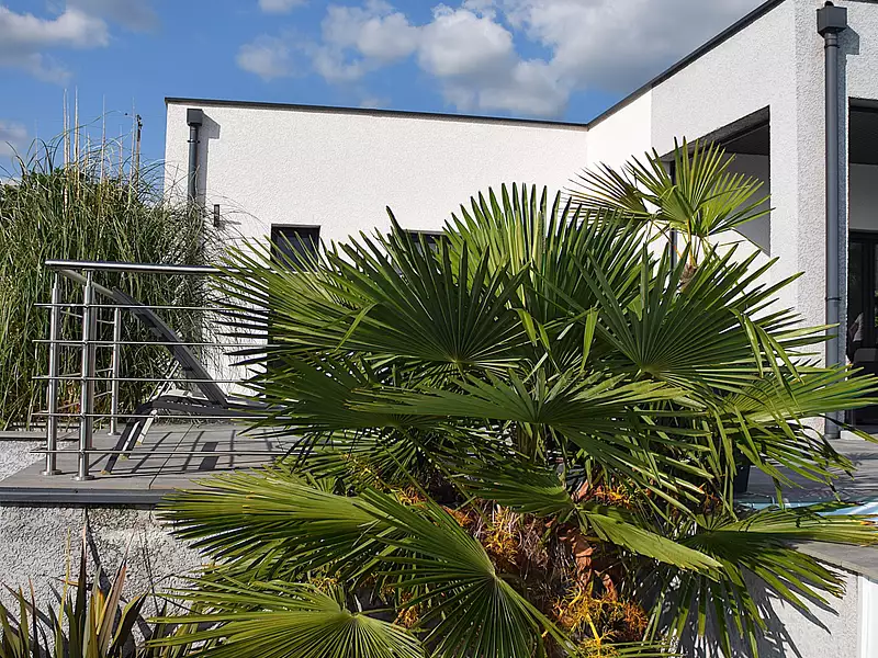 Maison, 154,41 m²