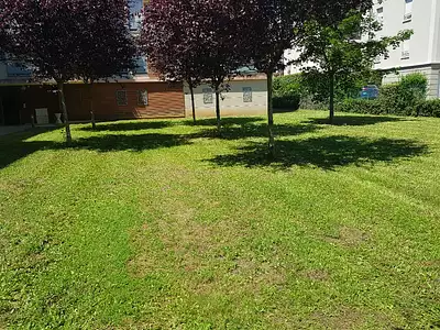 Appartement, 53,08 m²