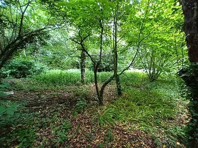 Maison, 60 m²