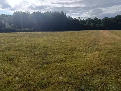 Terrain, 6 704 m²