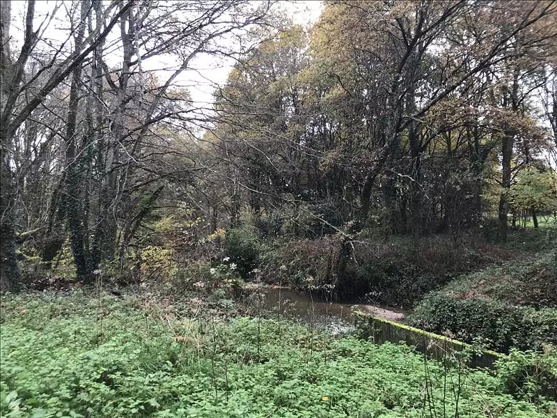 Terrain, 6 513 m²