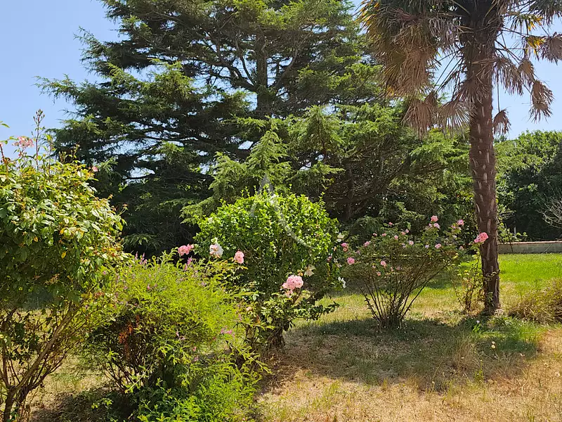 Maison, 54,67 m²